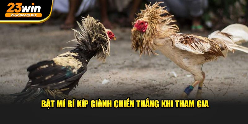 Bật mí bí kíp giành chiến thắng khi tham gia 