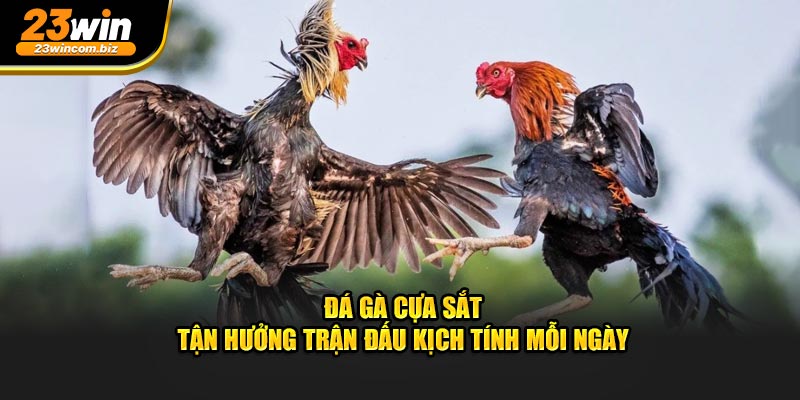 da-ga-cua-sat-tan-huong-tran-dau-kich-tinh-moi-ngay