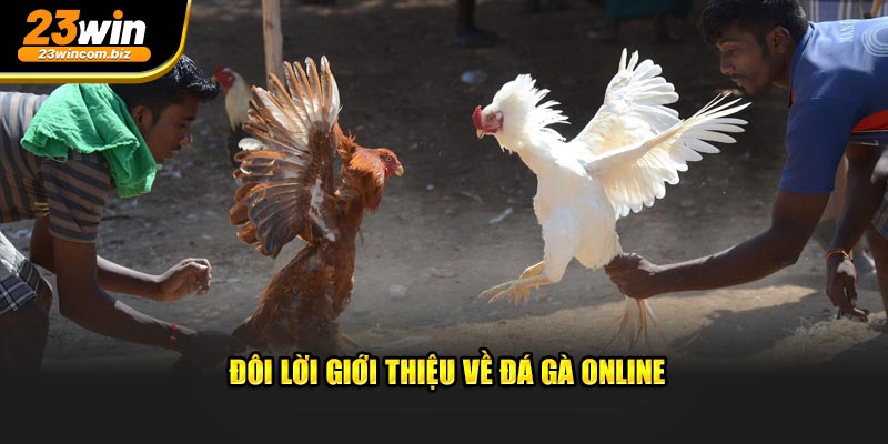 Đôi lời giới thiệu về đá gà online