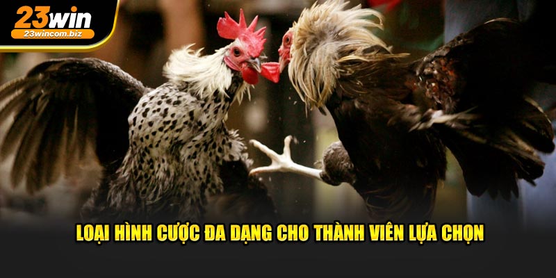 Loại hình cược đa dạng cho thành viên lựa chọn