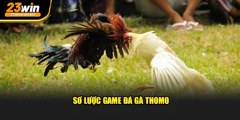 Sơ lược game đá gà Thomo