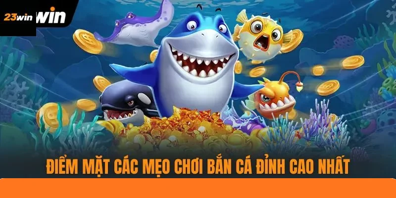 Điểm mặt các mẹo chơi bắn cá đỉnh cao nhất