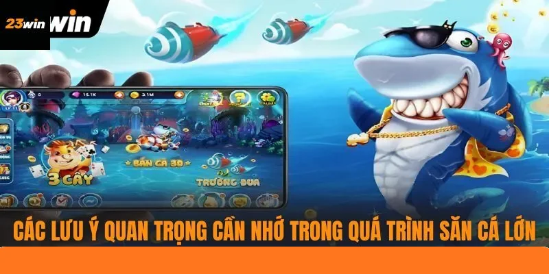 Các lưu ý quan trọng cần nhớ trong quá trình săn cá lớn