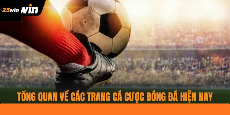 Tổng quan về những trang cá cược bóng đá hiện nay
