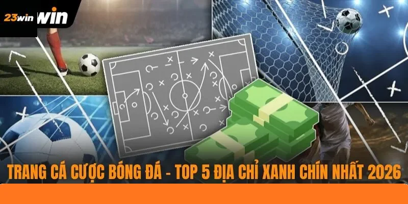 Trang Cá Cược Bóng Đá - Top 5 Địa Chỉ Xanh Chín Nhất 2026